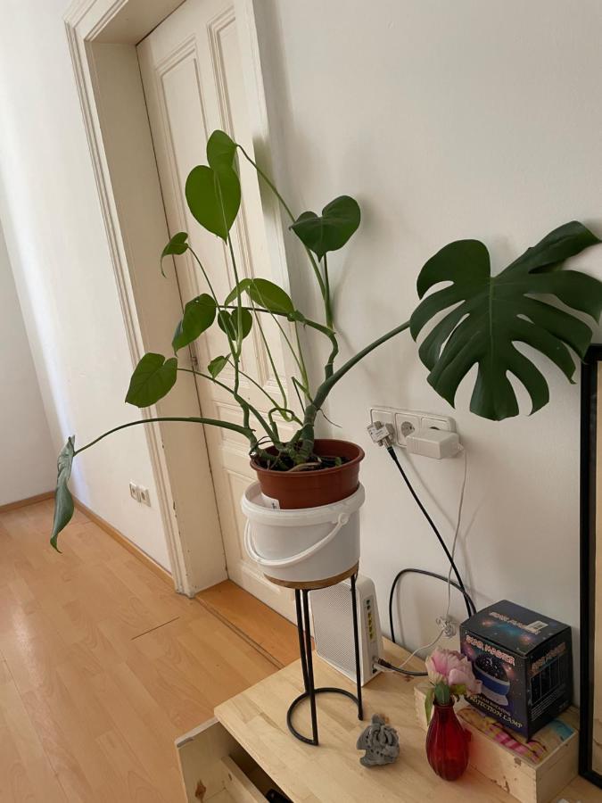 City Apartment And Rooms Виена Екстериор снимка